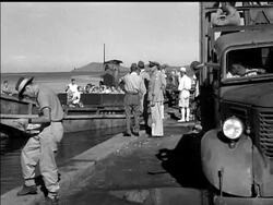 FREE AND HOME AGAIN News Clip