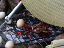 HD Video of Vietnamese BBQ Stock Footage