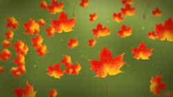 Maple leaves drift in front of a green background. Stock Footage
