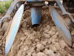 Potato planter sowing the potato Stock Footage
