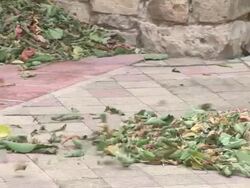 HD: Whirl of leaves Stock Footage