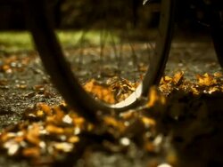 Riding Through The Leaves (Super Slow Motion) Stock Footage
