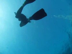 HD: Diver Swimming Back To Surface Stock Footage