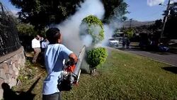 CLEAN : Honduras on alert as zika virus continues to spread News Clip