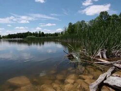 MS View of calm lake with rocks on shore / Waterloo, Ontario, Canada Stock Footage