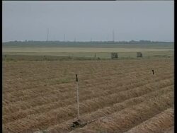 Israel army on border with Gaza after day of violence News Clip