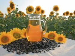 HD 2-in-1 Sunflower oil Stock Footage