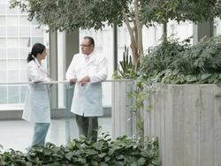 WS Two physicians in hospital atrium finish a conversation, shake hands and exit / Seattle, Washington, USA Stock Footage