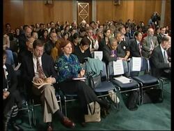 Senate hearing on violence in the Philippines News Clip