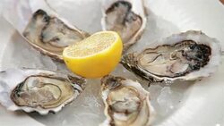 Oysters Stock Footage