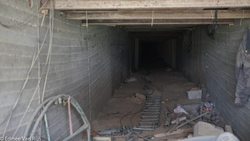 TED: Why I put myself in danger to tell the stories of Gaza | Ameera Harouda Instructional Video