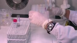 Study claims pistachio nut consumption could protect against type 2 diabetes News Clip