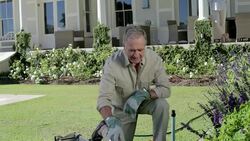 Portrait of smiling senior man gardening Stock Footage