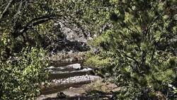 Landscape Stock Footage