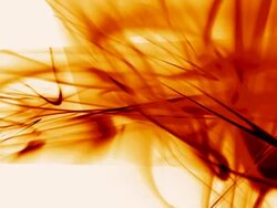 abstract shape Stock Footage