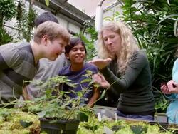 MS female botanist showing worms to group of laughing young students in research greenhouse. Stock Footage