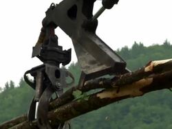 Close up of loader/slsher picking up logs, sawing them, and moving them. Stock Footage