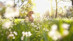 SLO MO Woman reading a book in the grass Stock Footage