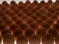 CU, Hand picking up egg Stock Footage