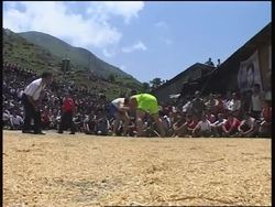 Farmers celebrate end of harvest by wrestling News Clip