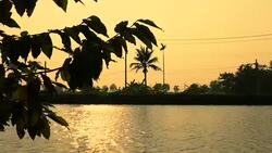 Natural Stock Footage