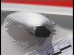 WRAP Gunmen kill Israeli policeman, wound two more in West Bank ADDS scene News Clip