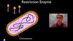 Molecular Biology Instructional Video