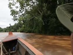 Boating along Quiquibey river, Bolivia, Amazon Stock Footage