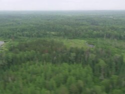 WS AERIAL View of Mississippi river / Lake Itasca, Minnesota, United States  Stock Footage