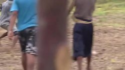 CLEAN : Football: The rise and rise of Indonesia's Black Pearls News Clip