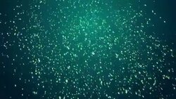 Snow Dark Green Backgrounds  Loopable Stock Footage