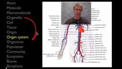Anatomy and Physiology Instructional Video