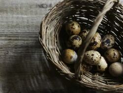 MS PAN Shot of quail eggs in basket / London, United Kingdom  Stock Footage