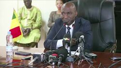 CLEAN : We need a real military operation in Mali says minister News Clip
