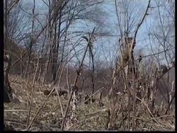 RUSSIA: CHECHNYA: REBELS TAKE TO THE SURROUNDING MOUNTAINS News Clip