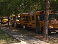 Yellow School Buses Parked On Street Stock Footage