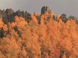 MS ZO Majestic Rocky Mountains Peaks, Brillant Yellow Aspen Trees / Telluride, Colorado, United States Stock Footage