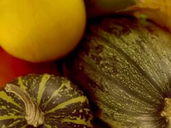 Autumn composition Stock Footage