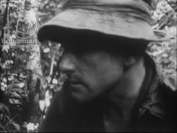 Australian troops question Viet Cong prisoner and destroy Viet Cong hideout and tunnels. Supply lines in operation. Vietnam War 1968 Stock Footage