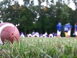 American Football. Practice. Ball. Playing Field. Stock Footage