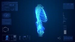 X-ray scan of human skeleton Stock Footage