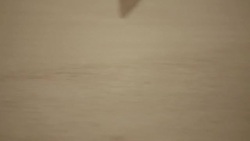 (Slow Motion) Horse Running Hoof Close Up Stock Footage