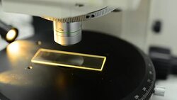 micro panning: put Microscopy slide under orange light Stock Footage