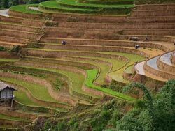 terraced rice field in Mu Chang Chai, Vietnam Stock Footage