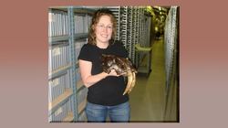 NSF Science Now: Episode 23 Instructional Video