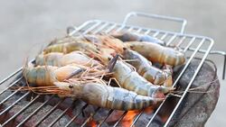 grilled shrimp Stock Footage