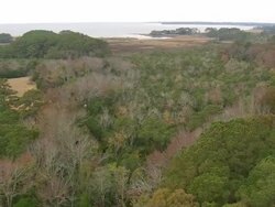 MS AERIAL Shot of Jockey's Ridge State Park with lake/ North Carolina, United States Stock Footage
