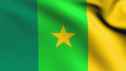 Animation flag of  Cameroon     in Africa Stock Footage