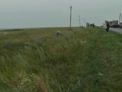 Malaysia Airlines Flight MH17 Crashes In East Ukraine News Clip