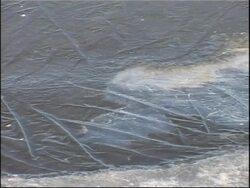 Cities downriver from Harbin ready for toxic spill News Clip